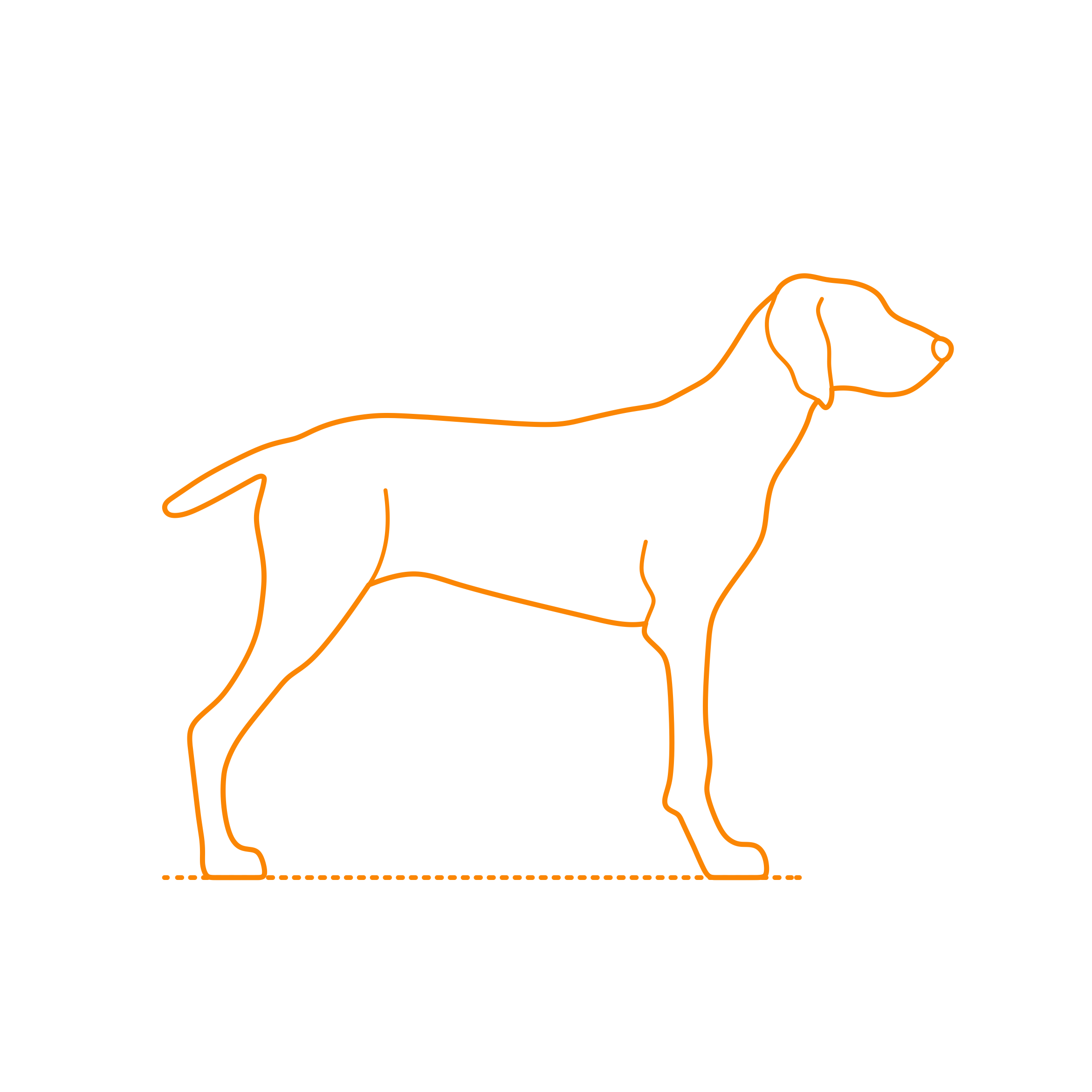 Animals Dogs Pointer Outline Svg File Free Vectors